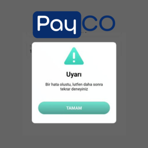 payco giris