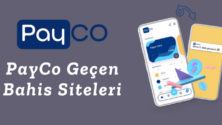 PayCo Geçen Bahis Siteleri